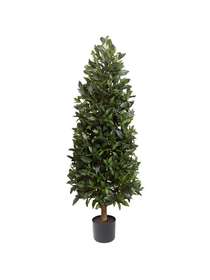 ALLORO H 120 CM PLASTIC POT COL. VERDE